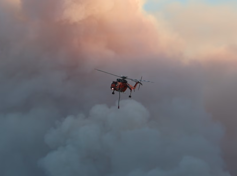 Δύο συλλήψεις για τη μεγάλη φωτιά που εκδηλώθηκε στη Βοιωτία και επεκτάθηκε στην Αττική