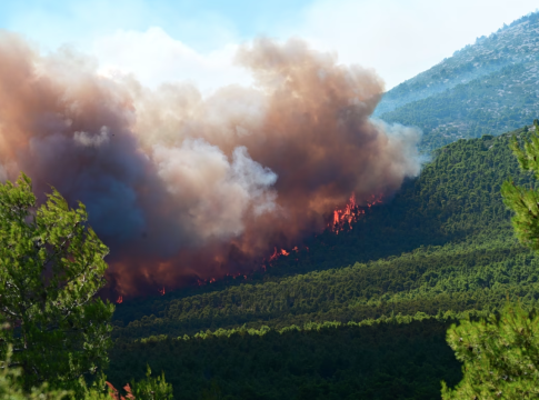 Πολύ υψηλός κίνδυνος πυρκαγιάς τη Δευτέρα (3/8) σε Αττική, Βοιωτία και Εύβοια