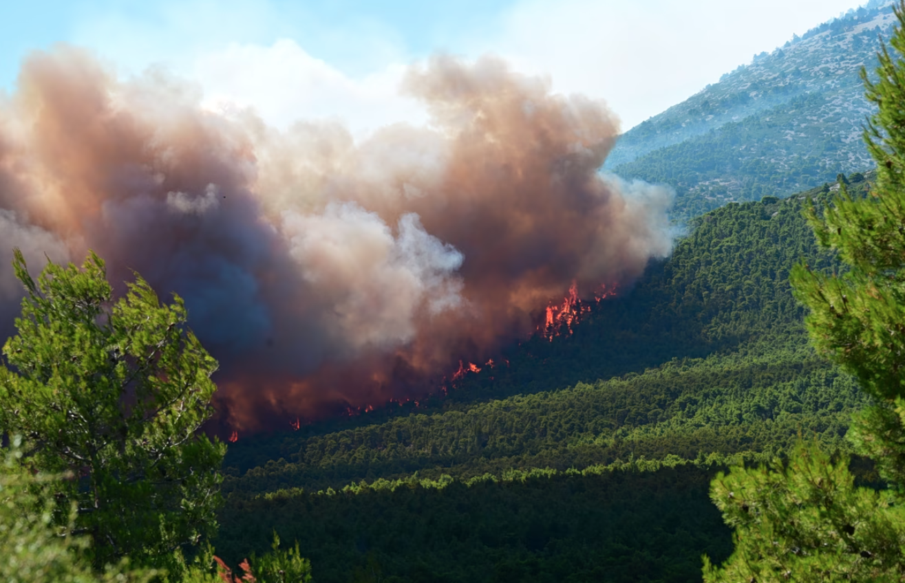 Πολύ υψηλός κίνδυνος πυρκαγιάς τη Δευτέρα (3/8) σε Αττική, Βοιωτία και Εύβοια