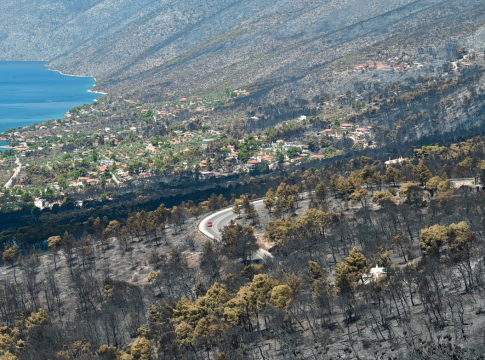 Meteo: Το 42% των δασών της Αττικής κάηκε τα τελευταία δέκα χρόνια – «Στάχτη» 512.000 στρέμματα