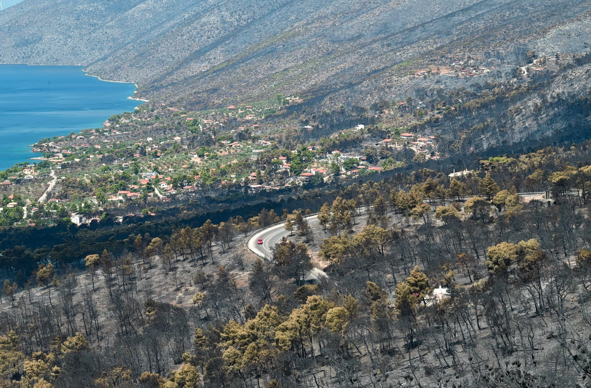 Meteo: Το 42% των δασών της Αττικής κάηκε τα τελευταία δέκα χρόνια – «Στάχτη» 512.000 στρέμματα
