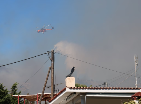 Πυρκαγιές στη Σαλαμίνα: Εντοπίστηκαν δύο νεκροί – Κάηκαν σπίτια