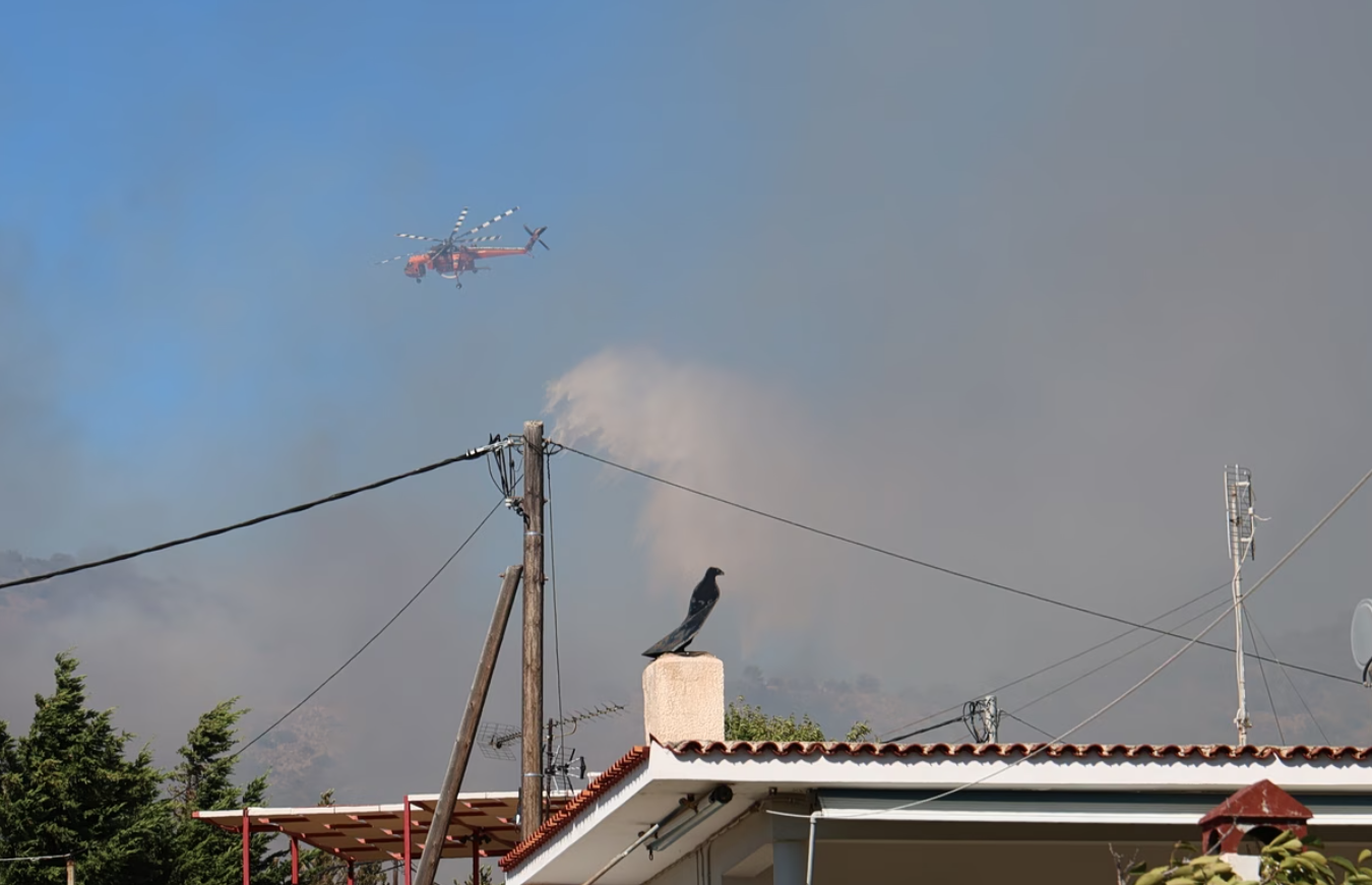 Πυρκαγιές στη Σαλαμίνα: Εντοπίστηκαν δύο νεκροί – Κάηκαν σπίτια