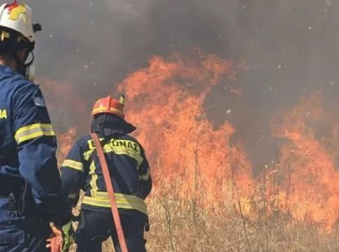 Πύλη Τρικάλων: Φωτιά καίει χαμηλή βλάστηση