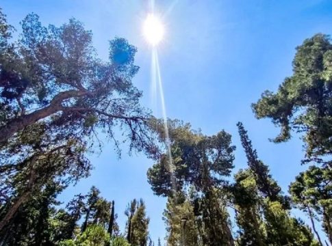 Έκτη ημέρα καύσωνα – Σε ποιες περιοχές ξεπέρασε τους 40 βαθμούς Κελσίου η θερμοκρασία