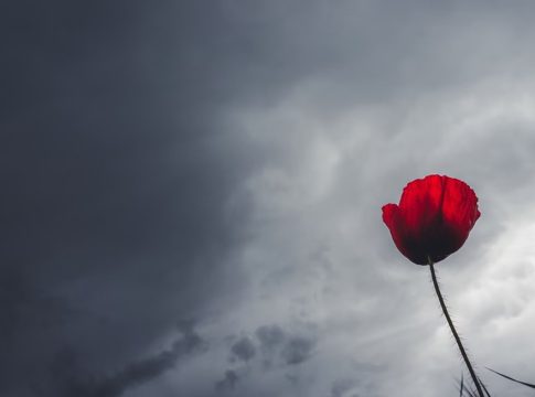 Καιρός: Νεφώσεις με βροχές και καταιγίδες στο μεγαλύτερο μέρος της χώρας – Η θερμοκρασία θα σημειώσει πτώση