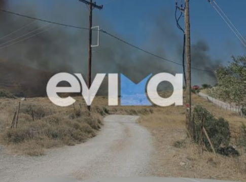 Συναγερμός για φωτιά στην Κάρυστο – Ήχησε το 112 για απομάκρυνση κατοίκων