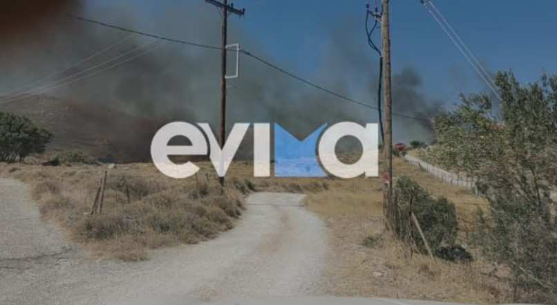 Συναγερμός για φωτιά στην Κάρυστο – Ήχησε το 112 για απομάκρυνση κατοίκων