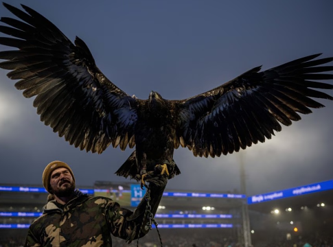 Προβλήματα για τον αετό της Κρίσταλ Πάλας (pic)