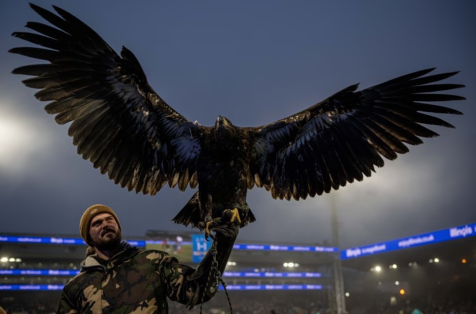 Προβλήματα για τον αετό της Κρίσταλ Πάλας (pic)