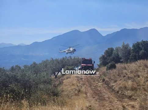 Λαμία: Φωτιά σε αγροτοδασική έκταση – Σηκώθηκαν 3 εναέρια